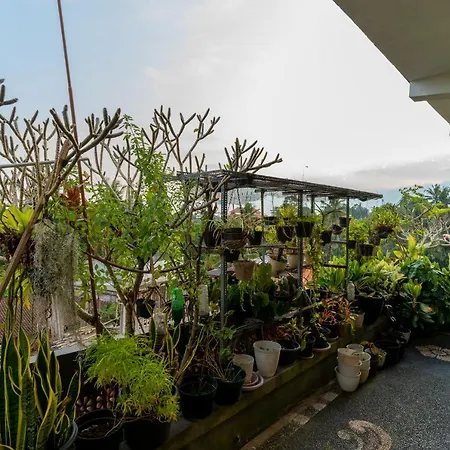 Yunda Guest House No.6 Andong Ubud